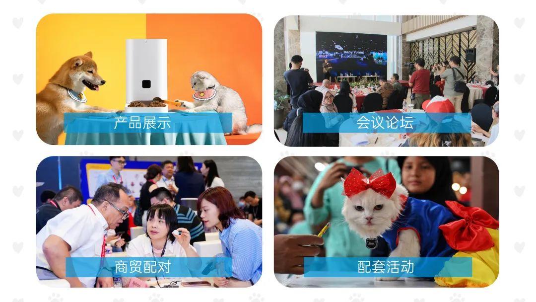 锁定东南亚及中东市场，携手潮宠展全球巡展共拓海外商机！